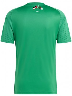 Algeria Collector Ed soccer jersey green soccer uniform men's football kit tops sport shirt 2023